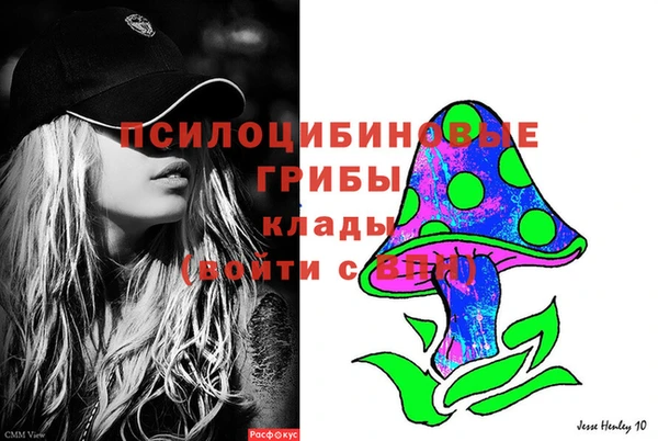 сатива Новокубанск