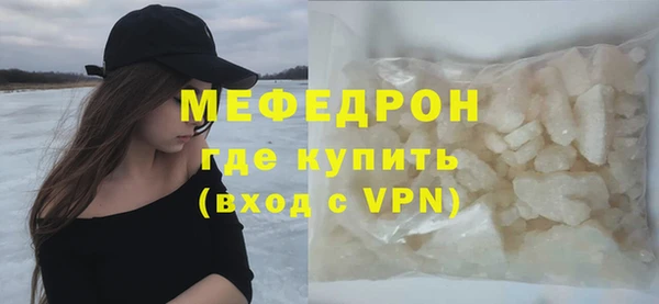 индика Няндома