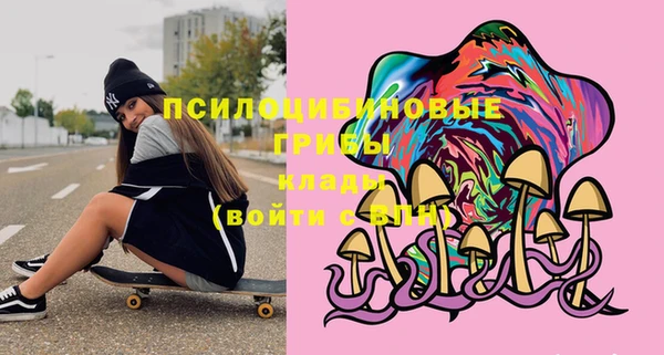 ешки Алексин